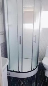Лев - 37