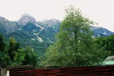 Легенда Спорта - 5