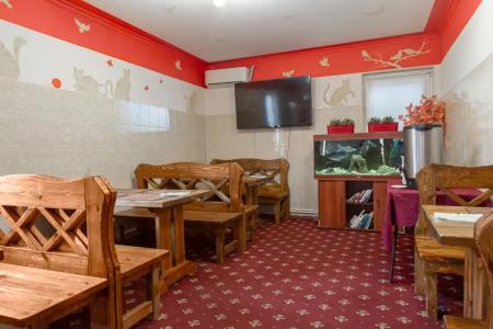 Home - 2