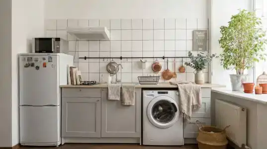 Лайка на Московском - 91