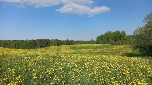 Гостевые дома в Приладожском - Ladoga Home - 70