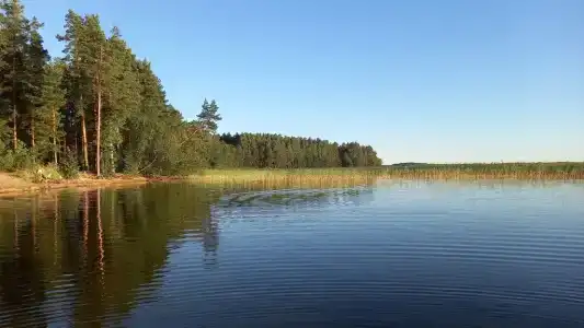 Гостевые дома в Приладожском - Ladoga Home - 71