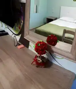 12 месяцев - 69