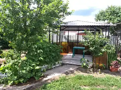 Ольга - 39