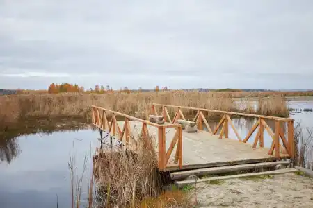 Хитрый Лис - 5