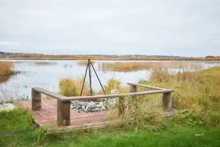 Хитрый Лис - 6