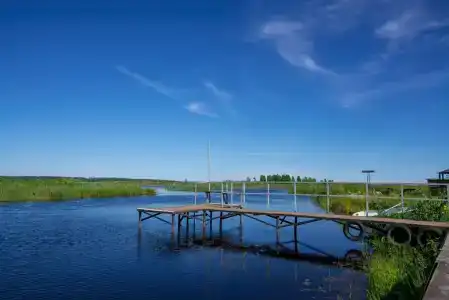 Хитрый Лис - 4