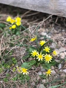 Широкая балка - 121