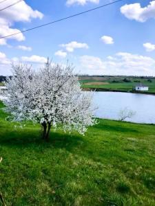 Широкая балка - 164