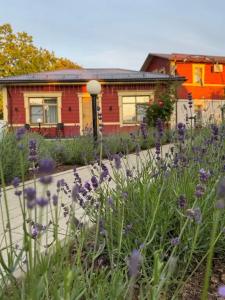 Царедворье - 119