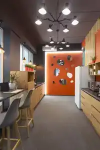 Fox - 1