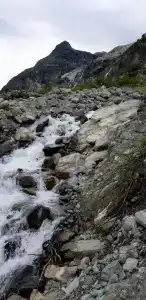 Дом мечты - 2