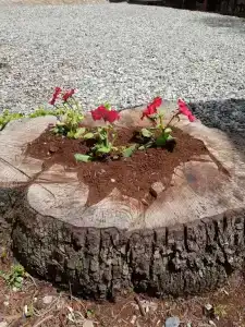 Дом мечты - 3