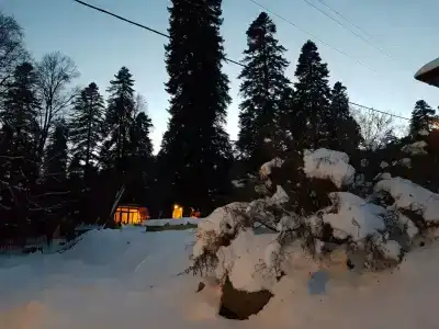 Дом мечты - 5