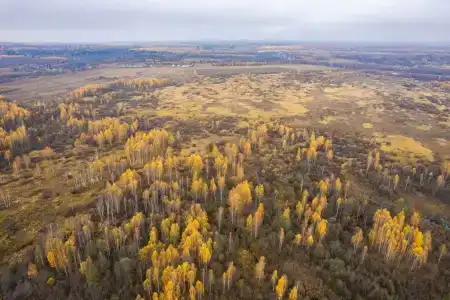 Шанти - 34