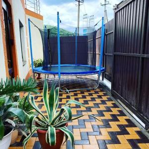 Summer House - 23