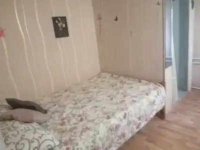 Алиса - 2