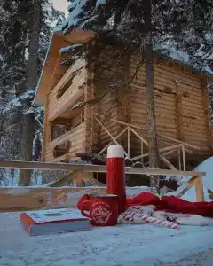 Домик в лесу - 0