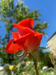 Дом у моря на Королёва 1 - 11