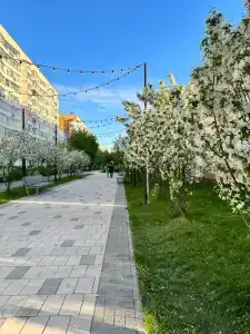 Студии у бульвара Белые цветы - 6