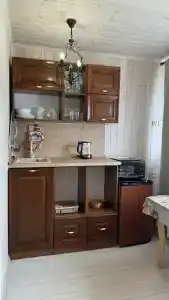 Родина - 29