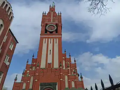 в тени Каштанов - 15