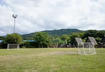 Вотчина - 184