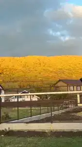 Дом у горной реки в красивом месте - 41