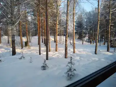 Территория Тернаволок - 49