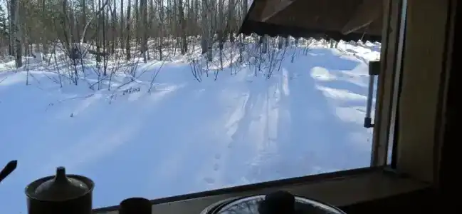 Домик в лесу - 46