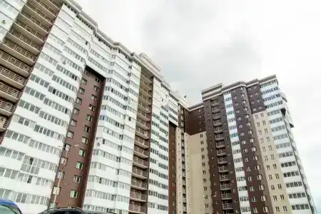 Мирт - 25