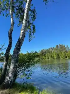Соловьевка Вилла - 9