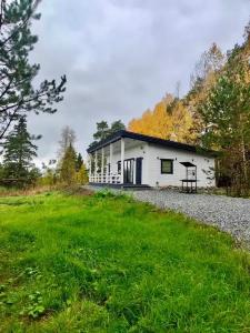 Точка Притяжения - 31