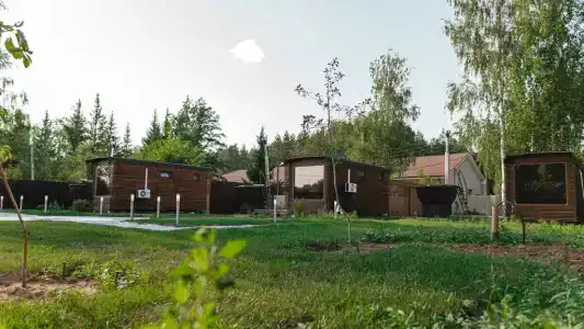 Росла трава - 62