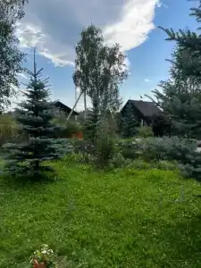 Мон Блан - 136