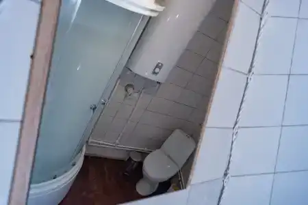 Гнездовье - 61