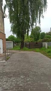 Гостевой домик 20 минут до моря - 14