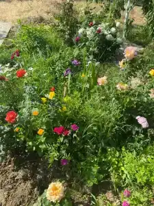 Дом у моря на Королёва 1 - 13