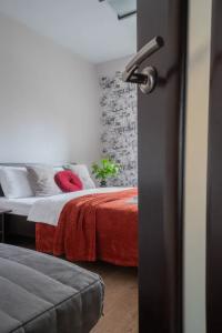 В центре Владимира любимые апартаменты vgosti33 NEW - 16