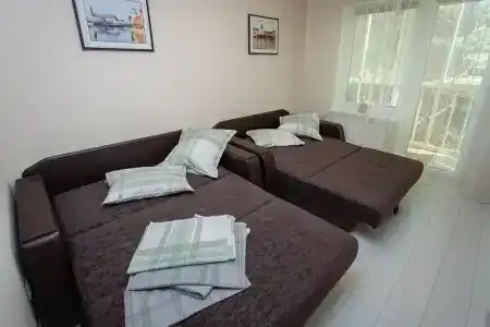 Студия с видом на Сосновый лес!!! - 3