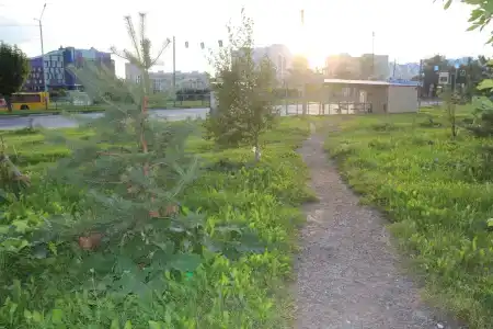 Квартиры на Фрунзе 31 - 38