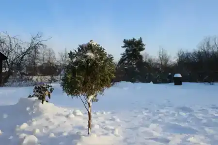 12 месяцев - 35