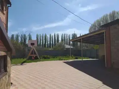 Можжевельник - 4