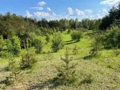 Кибитка на холме - 38