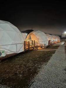 Аквариум - 119