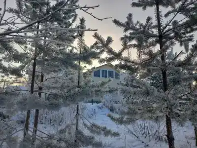 Коди Ярви - 96