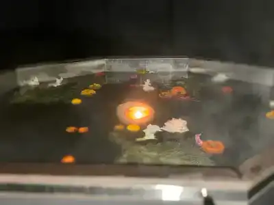 Сердце Суздальского Ополья - 41