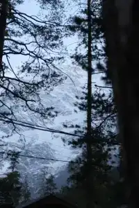 Коттеджи на улице Лесная - 39