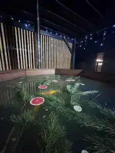 Шале Дрим Хаус - 29