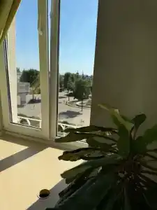 Площадь Ленина - 43